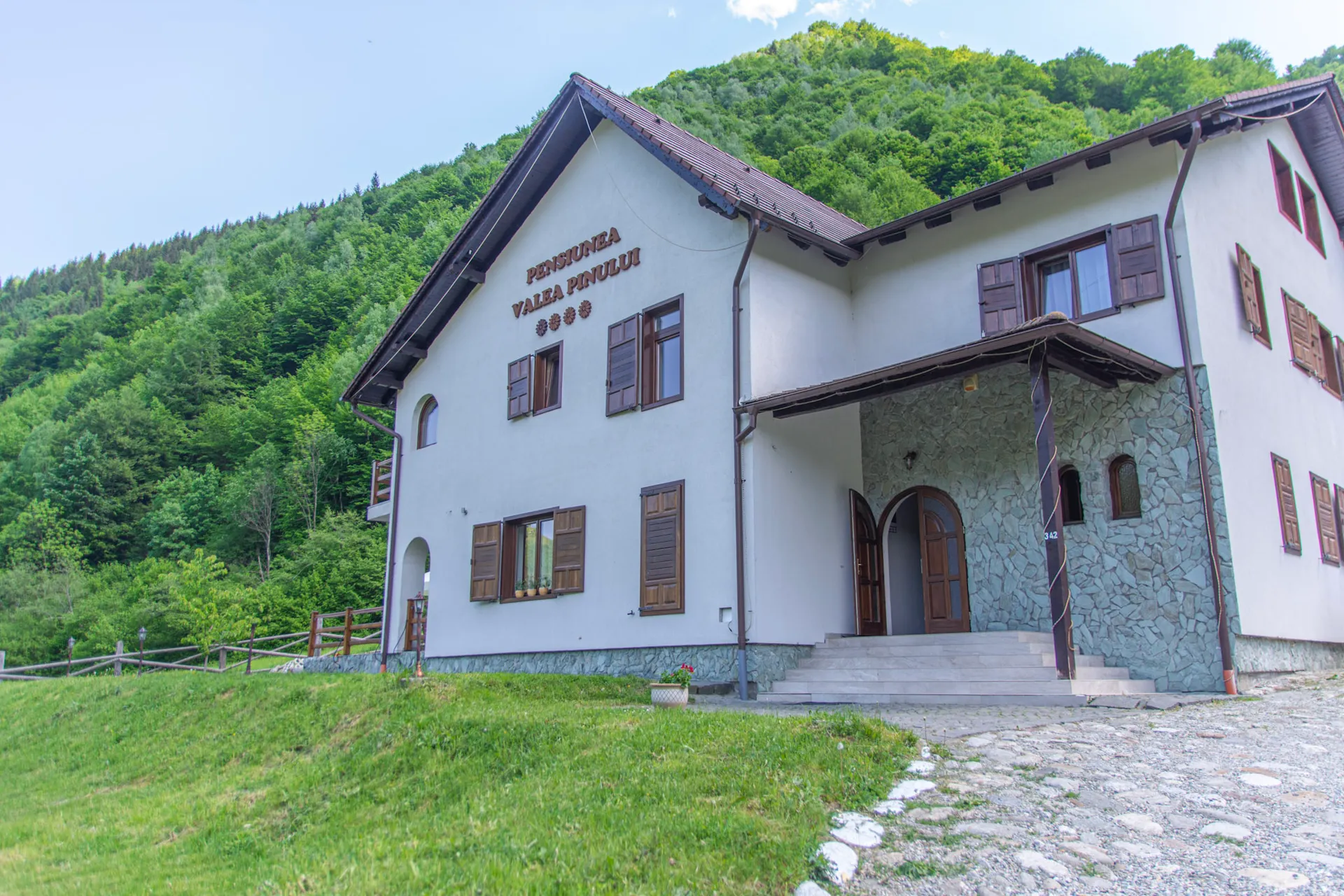 Valea Pinului