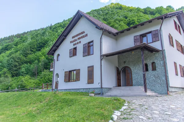 Valea Pinului