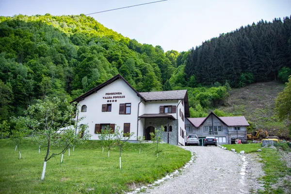 Valea Pinului