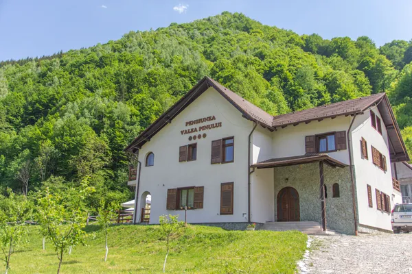 Valea Pinului