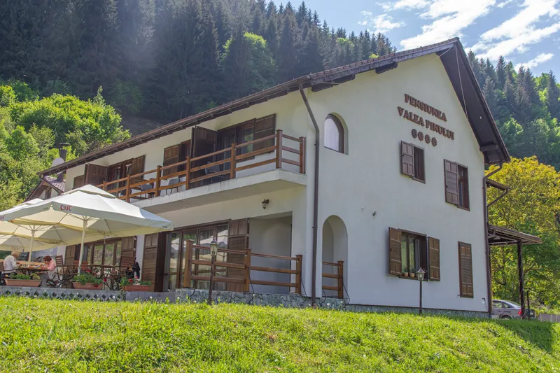 Valea Pinului